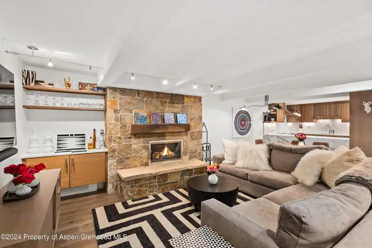 124 W Hyman Avenue #3D, Aspen, CO 81611