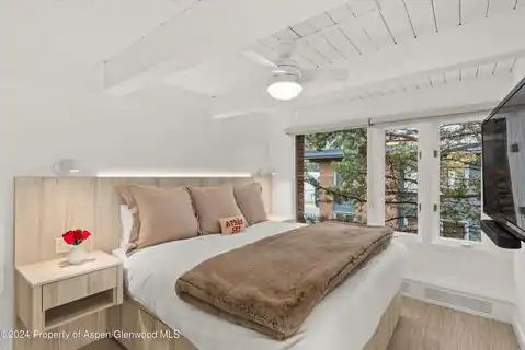 124 W Hyman Avenue #3D, Aspen, CO 81611 — photo 10