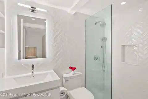 124 W Hyman Avenue #3D, Aspen, CO 81611 — photo 11