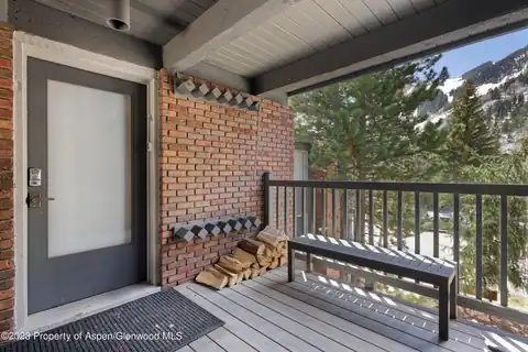 124 W Hyman Avenue #3D, Aspen, CO 81611 — photo 15