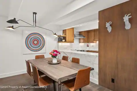 124 W Hyman Avenue #3D, Aspen, CO 81611 — photo 5