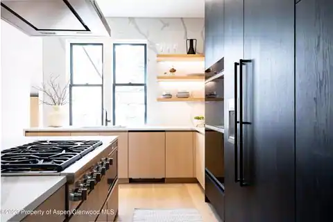 125 W Main Street, Aspen, CO 81611 — photo 12