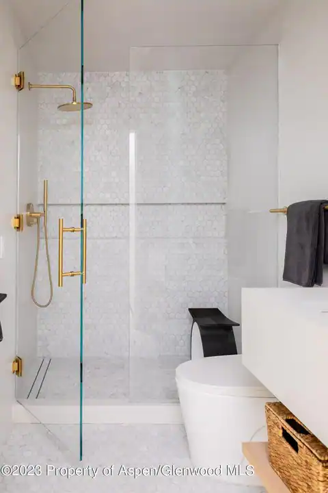 125 W Main Street, Aspen, CO 81611 — photo 35