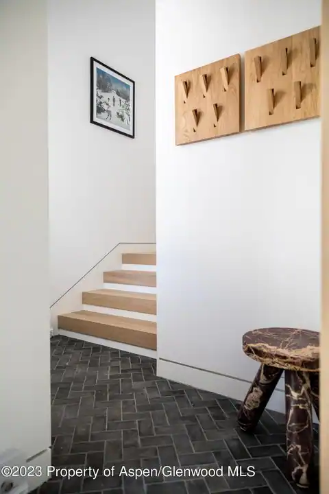 125 W Main Street, Aspen, CO 81611 — photo 46