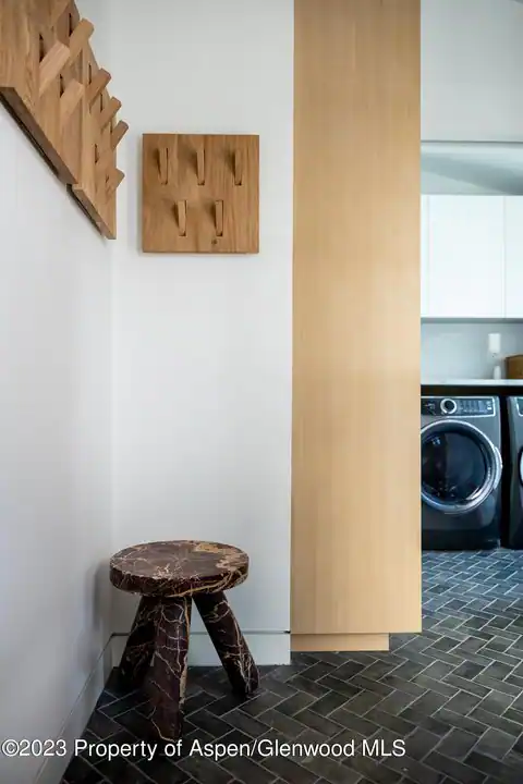 125 W Main Street, Aspen, CO 81611 — photo 47