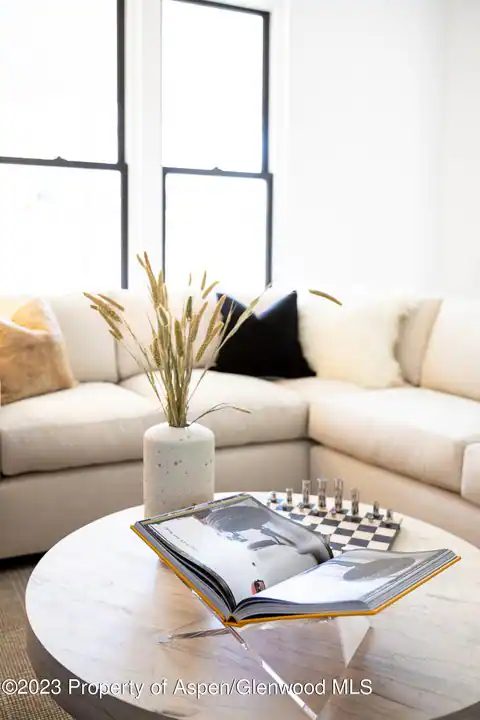 125 W Main Street, Aspen, CO 81611 — photo 51