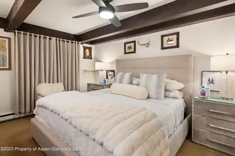 1034 E Cooper Avenue #4a, Aspen, CO 81611 — photo 12