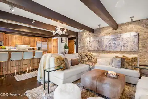 1034 E Cooper Avenue #4a, Aspen, CO 81611 — photo 4
