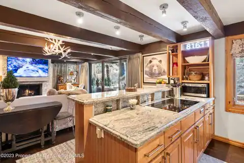 1034 E Cooper Avenue #4a, Aspen, CO 81611 — photo 7
