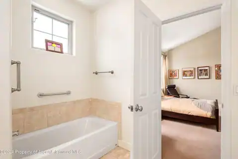 546 Evans Court, Basalt, CO 81621 — photo 10