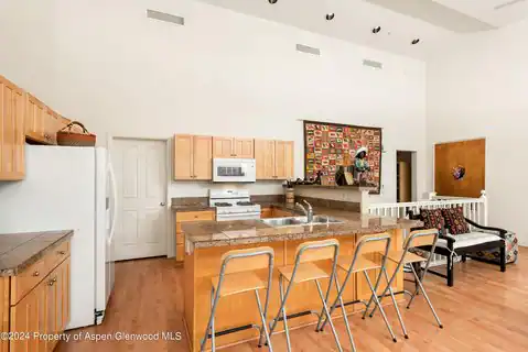 546 Evans Court, Basalt, CO 81621 — photo 5