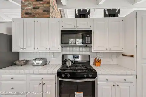 154 E Lupine Drive, Aspen, CO 81611 — photo 11