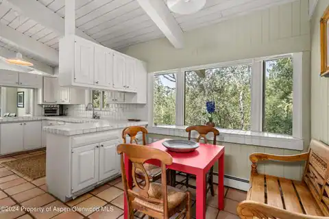 154 E Lupine Drive, Aspen, CO 81611 — photo 13
