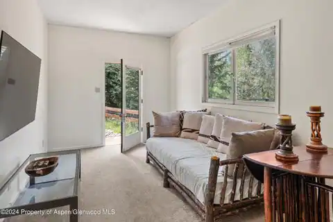 154 E Lupine Drive, Aspen, CO 81611 — photo 24