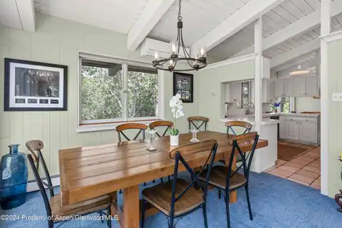 154 E Lupine Drive, Aspen, CO 81611 — photo 9