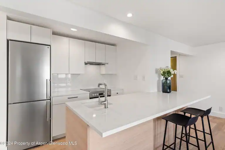 119 E Cooper Avenue #26, Aspen, CO 81611