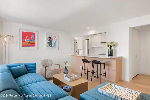 119 E Cooper Avenue #26, Aspen, CO 81611 — photo 2