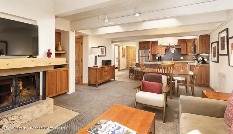 901 E Hyman Avenue #13, Aspen, CO 81611