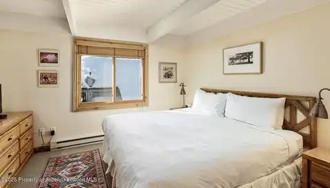 901 E Hyman Avenue #13, Aspen, CO 81611 — photo 5