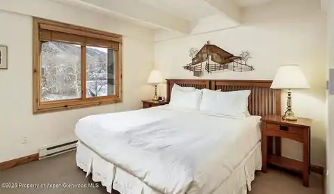901 E Hyman Avenue #13, Aspen, CO 81611 — photo 6