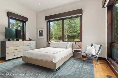 101 Byers Court, Aspen, CO 81611 — photo 18