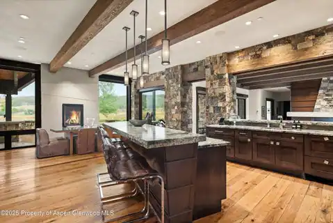 101 Byers Court, Aspen, CO 81611 — photo 7