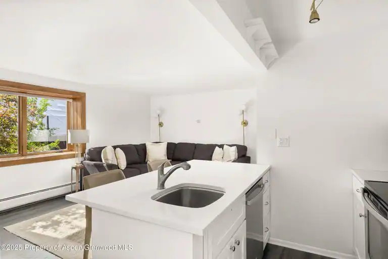 119 E Cooper Avenue #25, Aspen, CO 81611