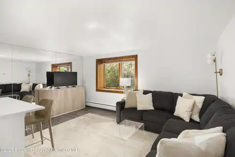 119 E Cooper Avenue #25, Aspen, CO 81611 — photo 2