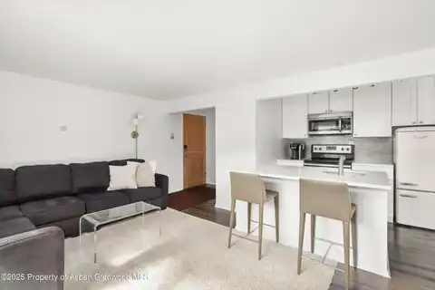 119 E Cooper Avenue #25, Aspen, CO 81611 — photo 4