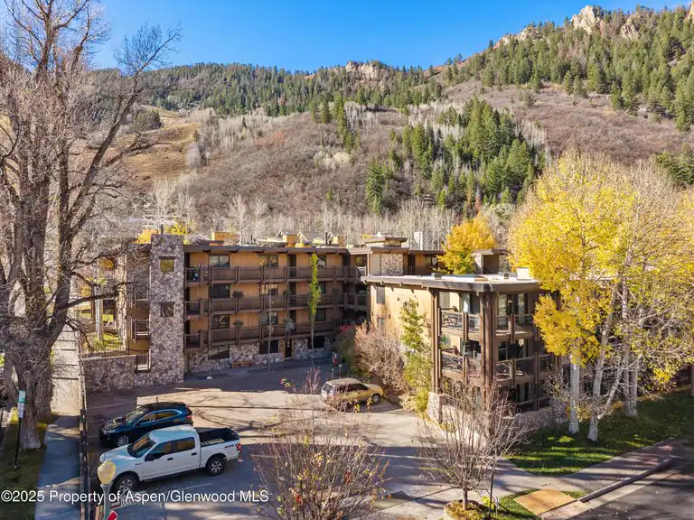 131 E Durant Avenue #202, Aspen, CO 81611