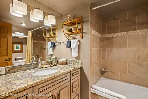 131 E Durant Avenue #202, Aspen, CO 81611 — photo 11