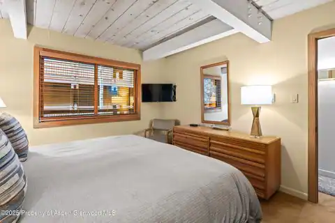 131 E Durant Avenue #202, Aspen, CO 81611 — photo 12