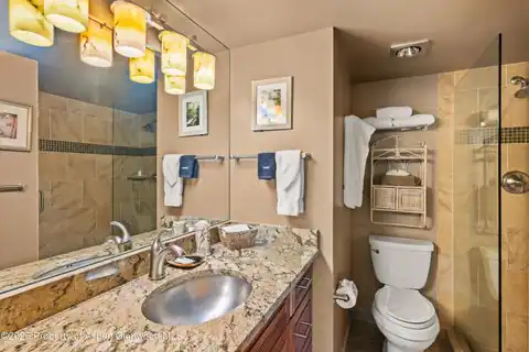 131 E Durant Avenue #202, Aspen, CO 81611 — photo 13