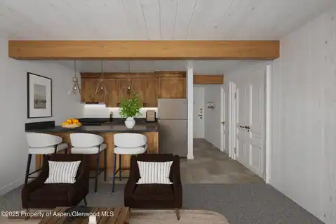 131 E Durant Avenue #202, Aspen, CO 81611 — photo 15
