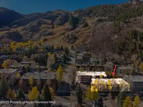 131 E Durant Avenue #202, Aspen, CO 81611 — photo 17