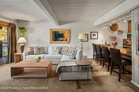 131 E Durant Avenue #202, Aspen, CO 81611 — photo 2
