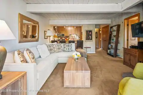 131 E Durant Avenue #202, Aspen, CO 81611 — photo 3