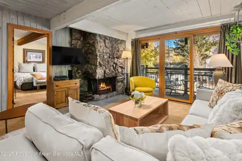 131 E Durant Avenue #202, Aspen, CO 81611 — photo 4