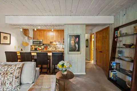 131 E Durant Avenue #202, Aspen, CO 81611 — photo 5