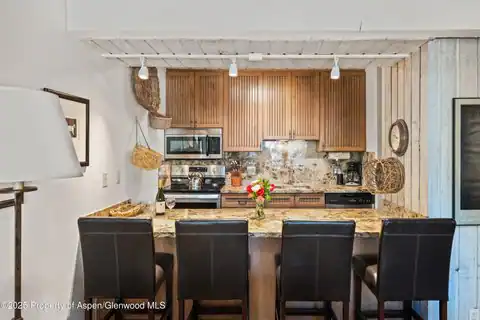 131 E Durant Avenue #202, Aspen, CO 81611 — photo 6