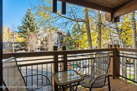 131 E Durant Avenue #202, Aspen, CO 81611 — photo 7