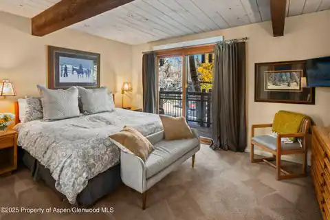 131 E Durant Avenue #202, Aspen, CO 81611 — photo 9
