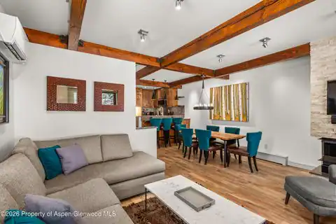610 S West End Street #D103, Aspen, CO 81611 — photo 5