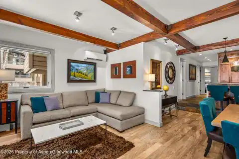 610 S West End Street #D103, Aspen, CO 81611 — photo 6
