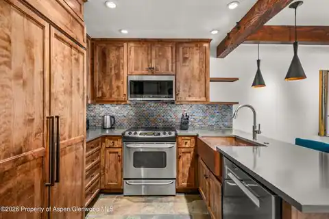 610 S West End Street #D103, Aspen, CO 81611 — photo 8