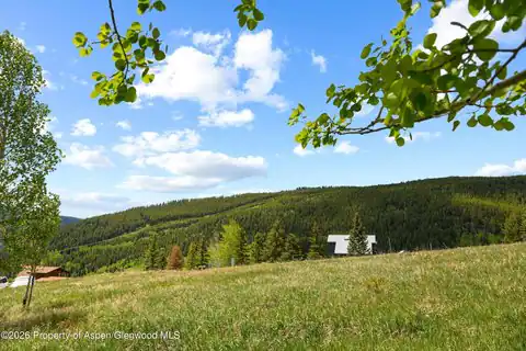1239 Mclaughlin Lane, Basalt, CO 81621 — photo 19