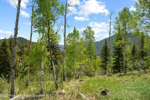 1239 Mclaughlin Lane, Basalt, CO 81621 — photo 20