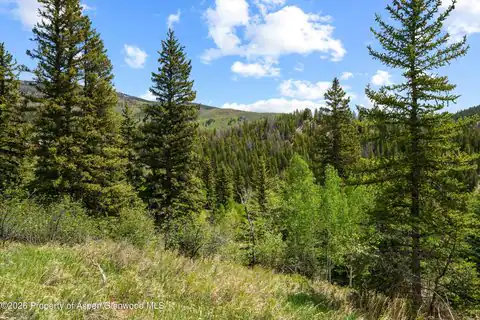 1239 Mclaughlin Lane, Basalt, CO 81621 — photo 21
