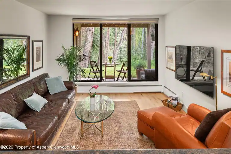 412 Vine Street, Aspen, CO 81611