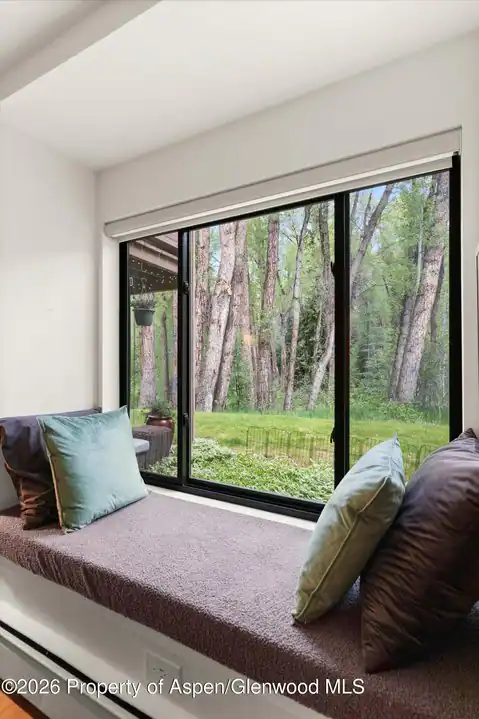 412 Vine Street, Aspen, CO 81611 — photo 12